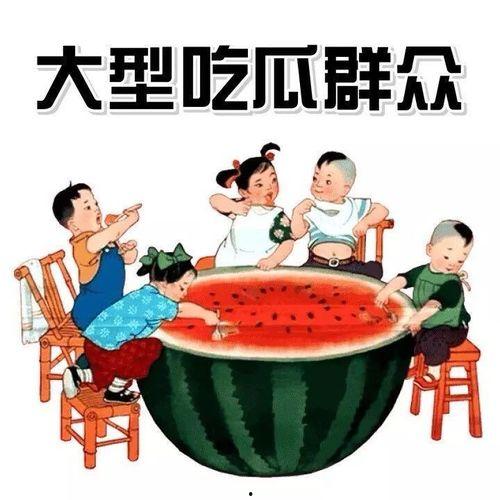 吃瓜群众在七零 作者雨落窗帘