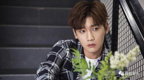 爱豆吃瓜娱乐酱肖宇梁,爱豆吃瓜娱乐酱，揭秘娱乐圈幕后故事